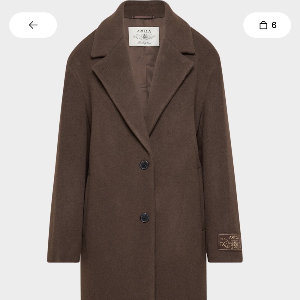 Aritzia Dark Brown Trench Coat